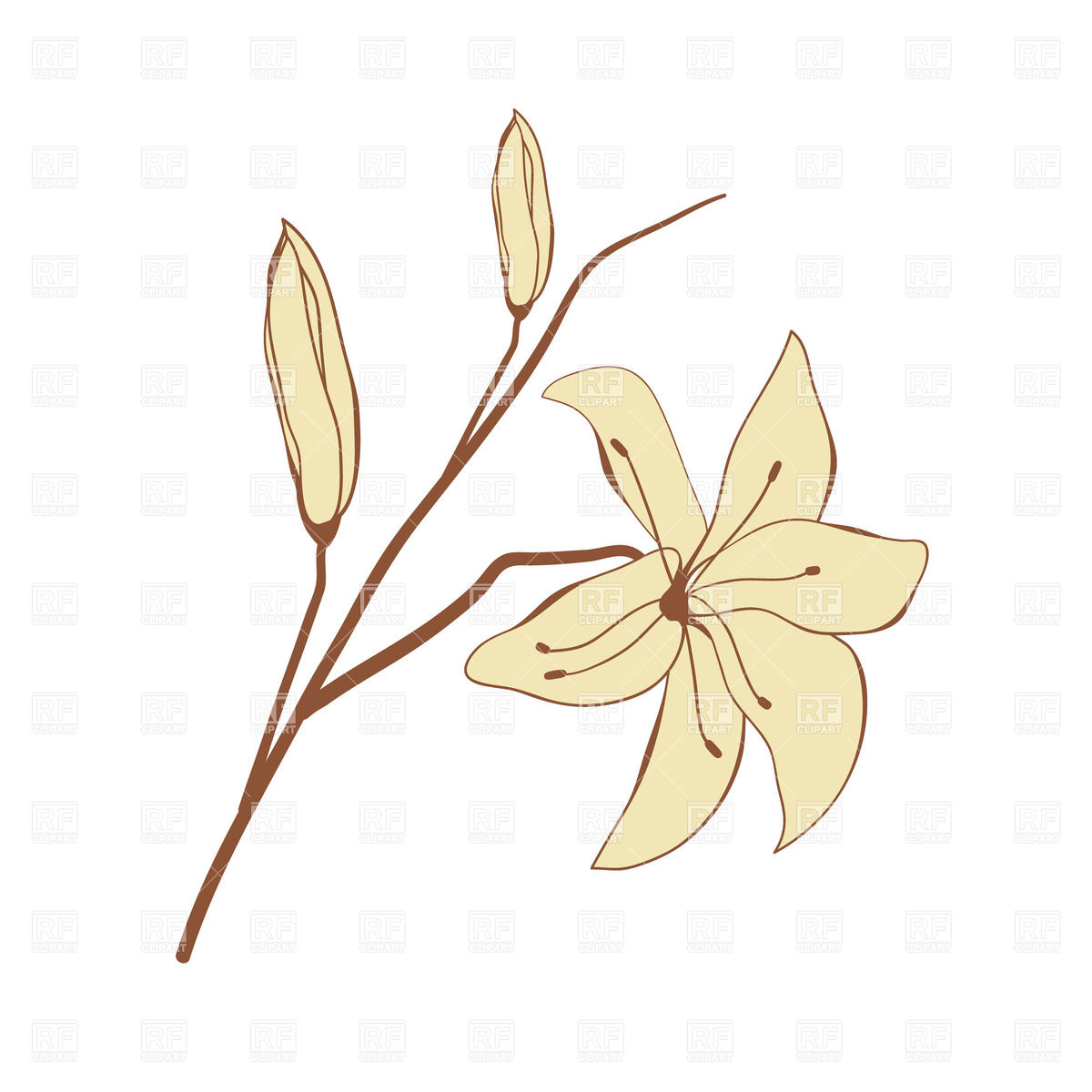 1200x1200 Vintage Look Hand Drawn Lily Royalty Free Vector Clip Art Image