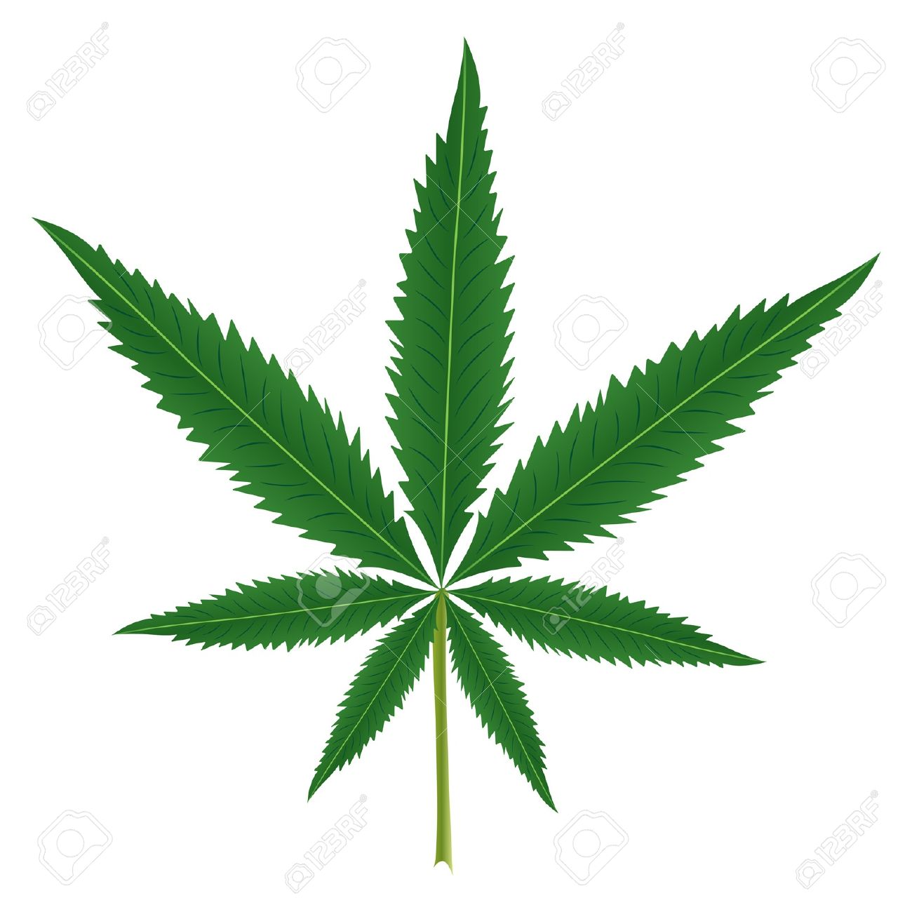 1300x1300 Weed Clipart Leaf Black Background