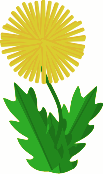 354x599 Dandelion Clip Art