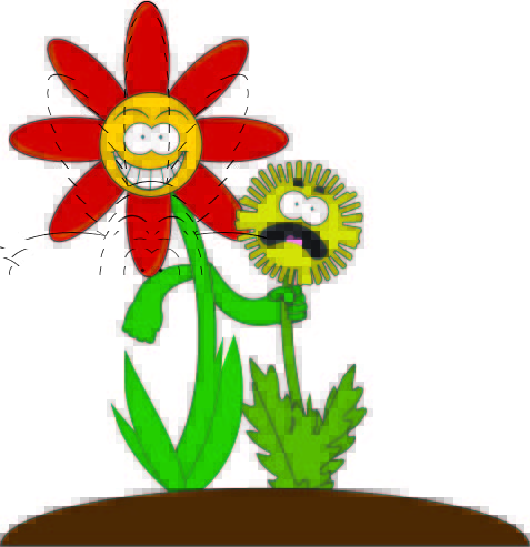 477x493 Flowerchokingweed.jpg