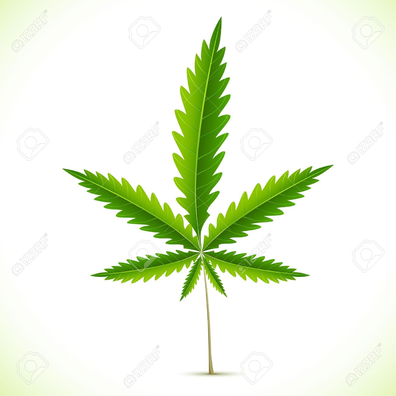 1300x1300 Marijuana Leaf Clip Art