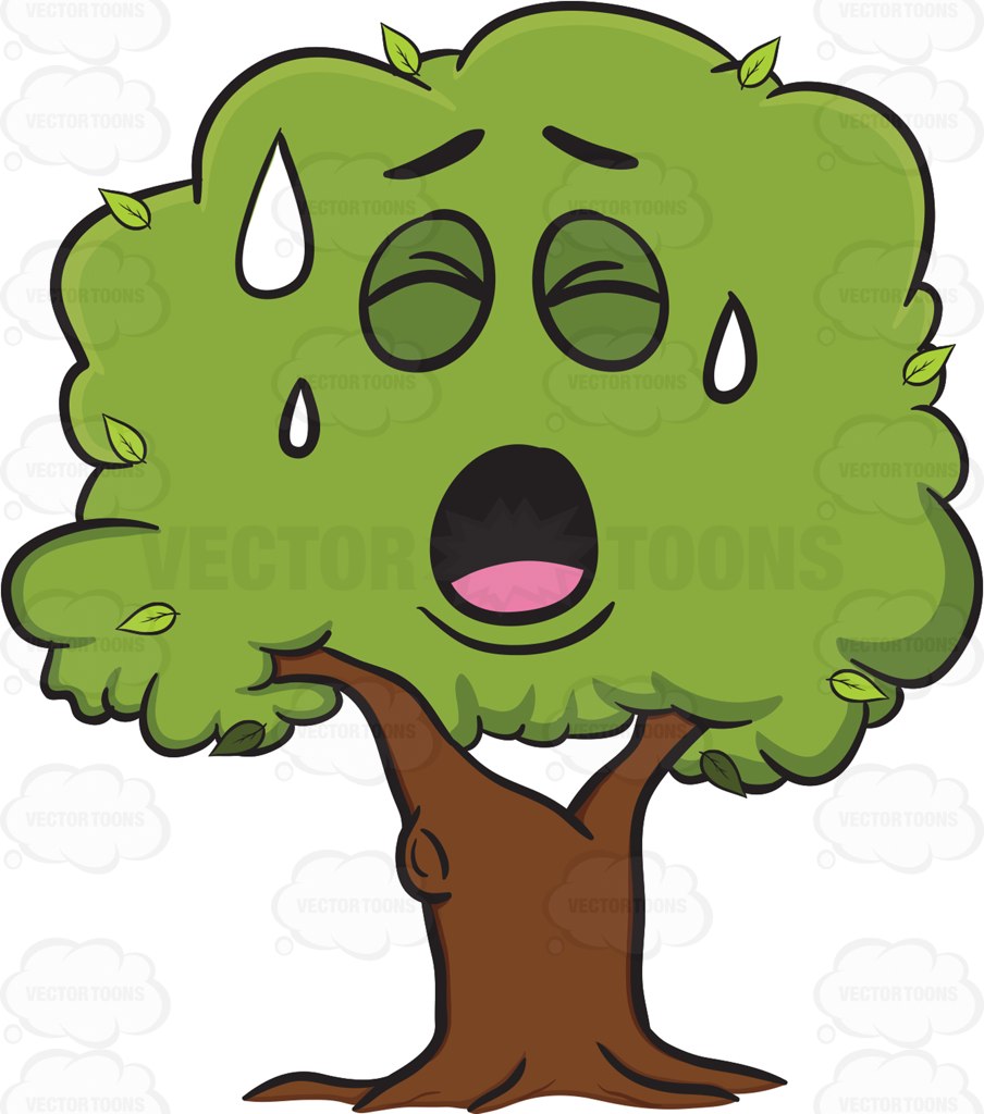 904x1024 Tree With A Face Clipart