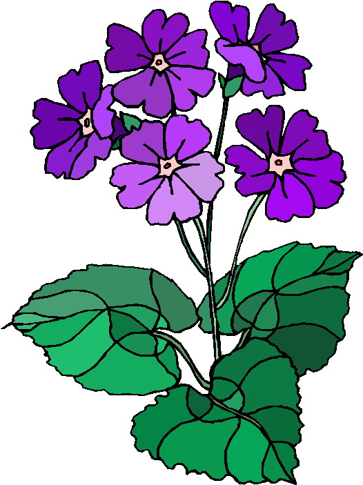 526x703 Plants Clipart