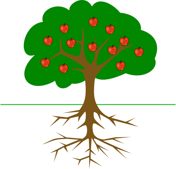 600x575 Apple Tree With Roots Clip Art