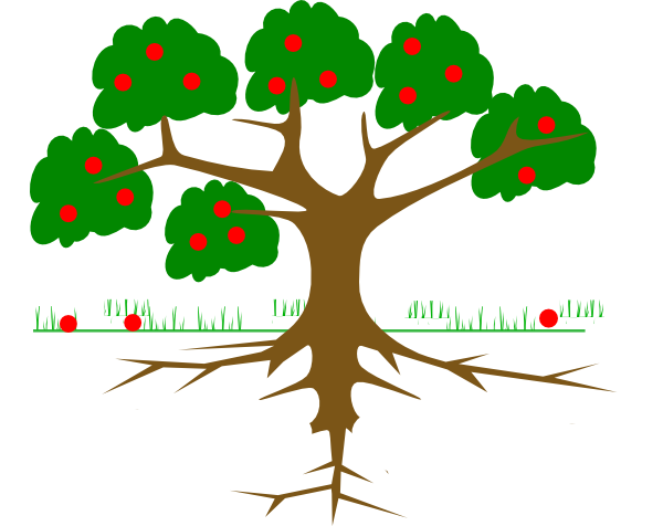 600x476 Roots Clipart Tree Png