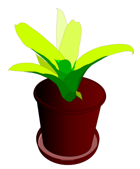 491x591 Pot Plant Clipart Beautiful Flower