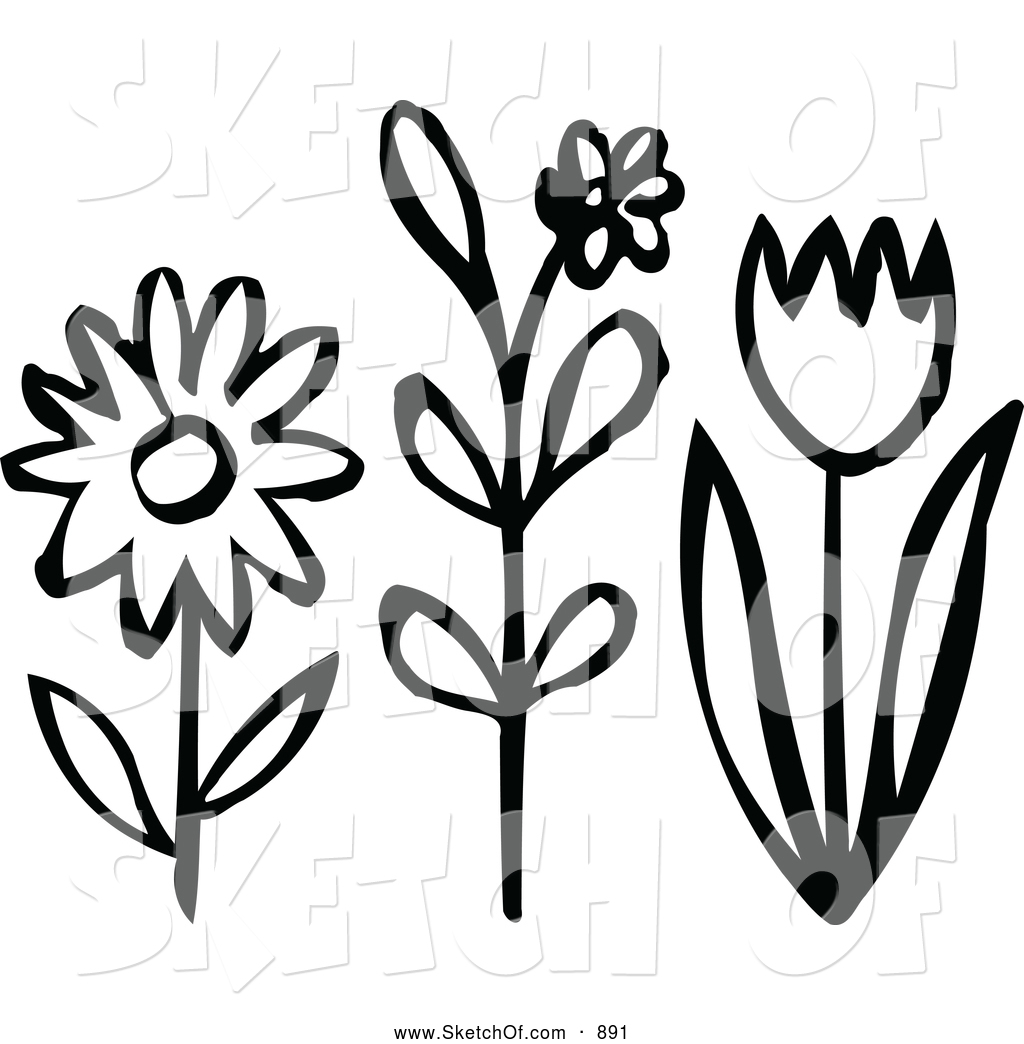 1024x1044 Drawing Of Black And White Flowers By Nl Shop