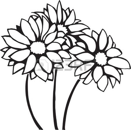 450x446 Chrysanthemum Clipart Black And White