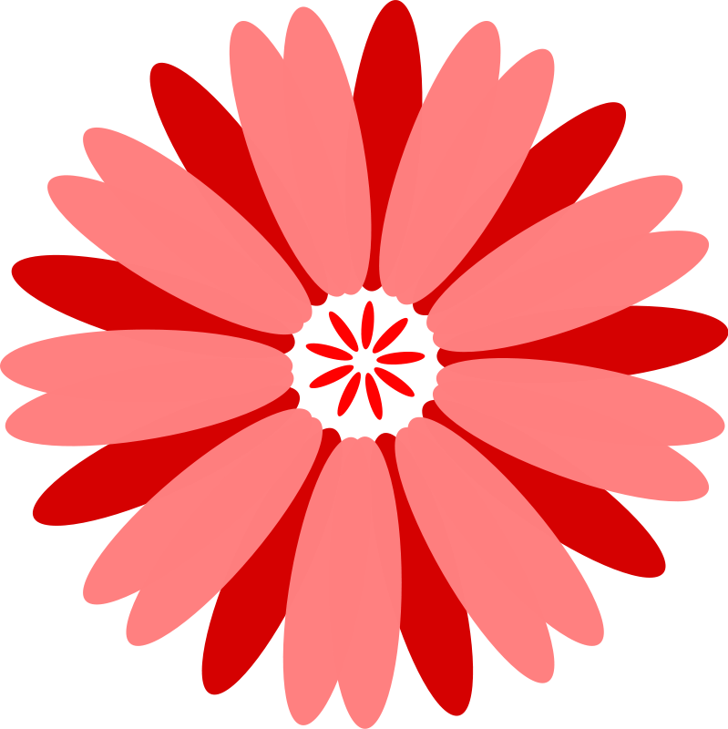 799x800 Flower Free Vector 4vector