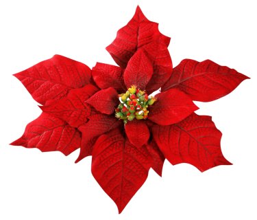 375x320 Pictures Of Poinsettias Flowers Large Faux Poinsettias Giant