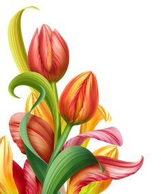 236x283 Vase Of Flowers Clip Art Flower Bouquet Clipart, Dozen Tulips