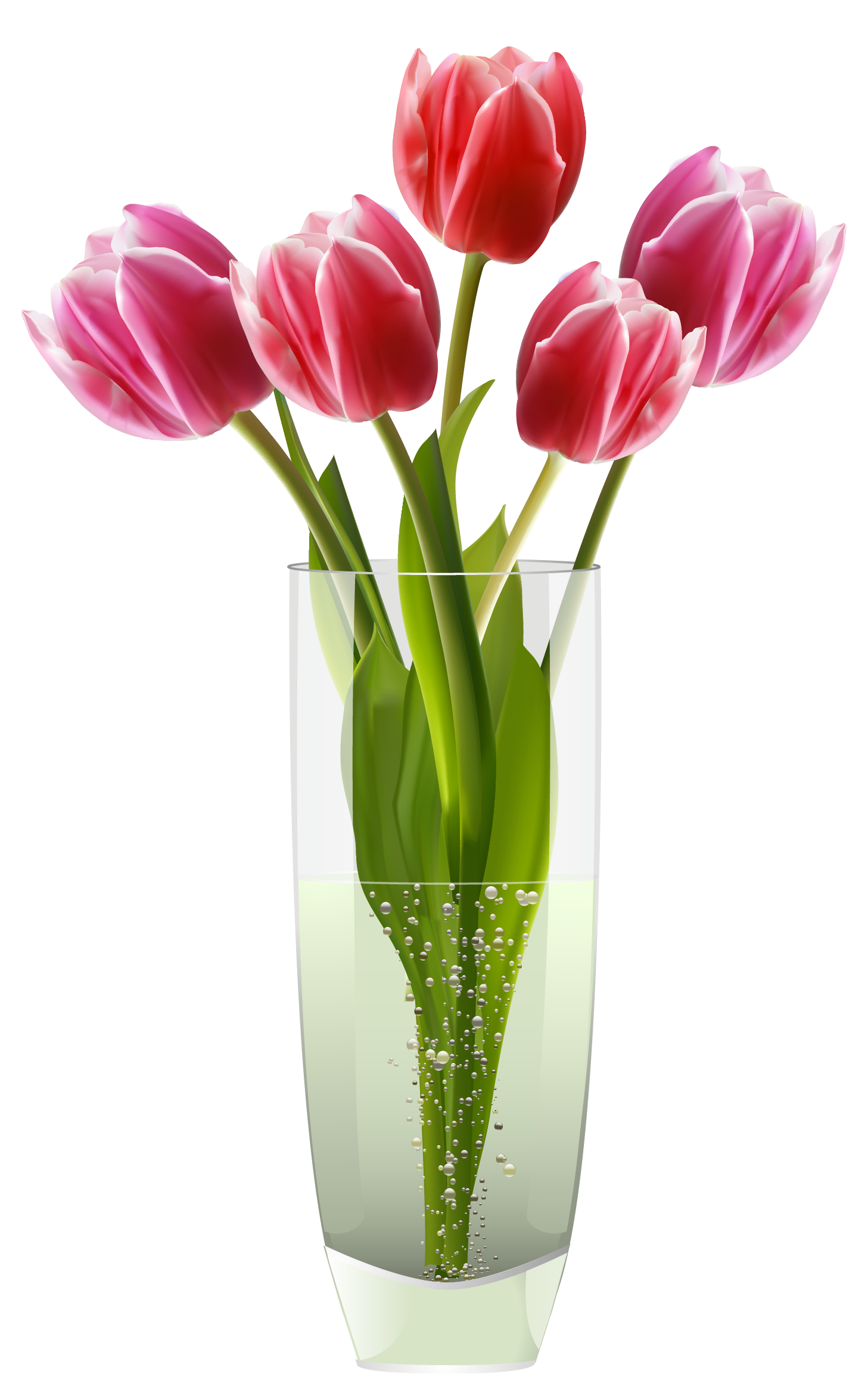 1457x2326 Flowers In Vase