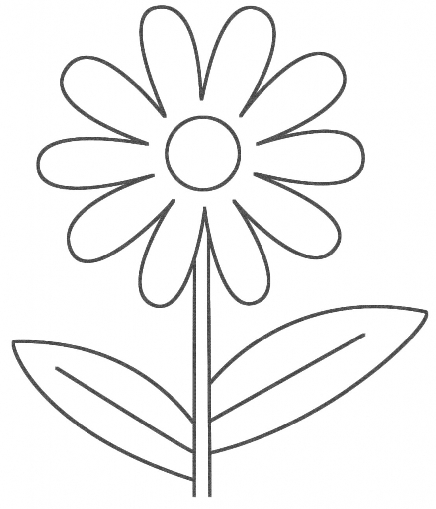 877x1024 Easy Drawings Of Flowers