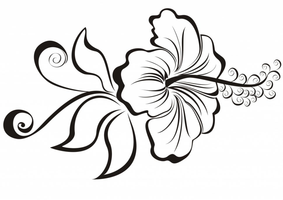 970x685 Coloring Pages Alluring Cool Flowers To Draw Flower Line