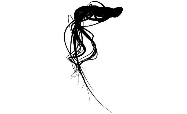 645x395 Graphics For Weave Hair Vector Graphics