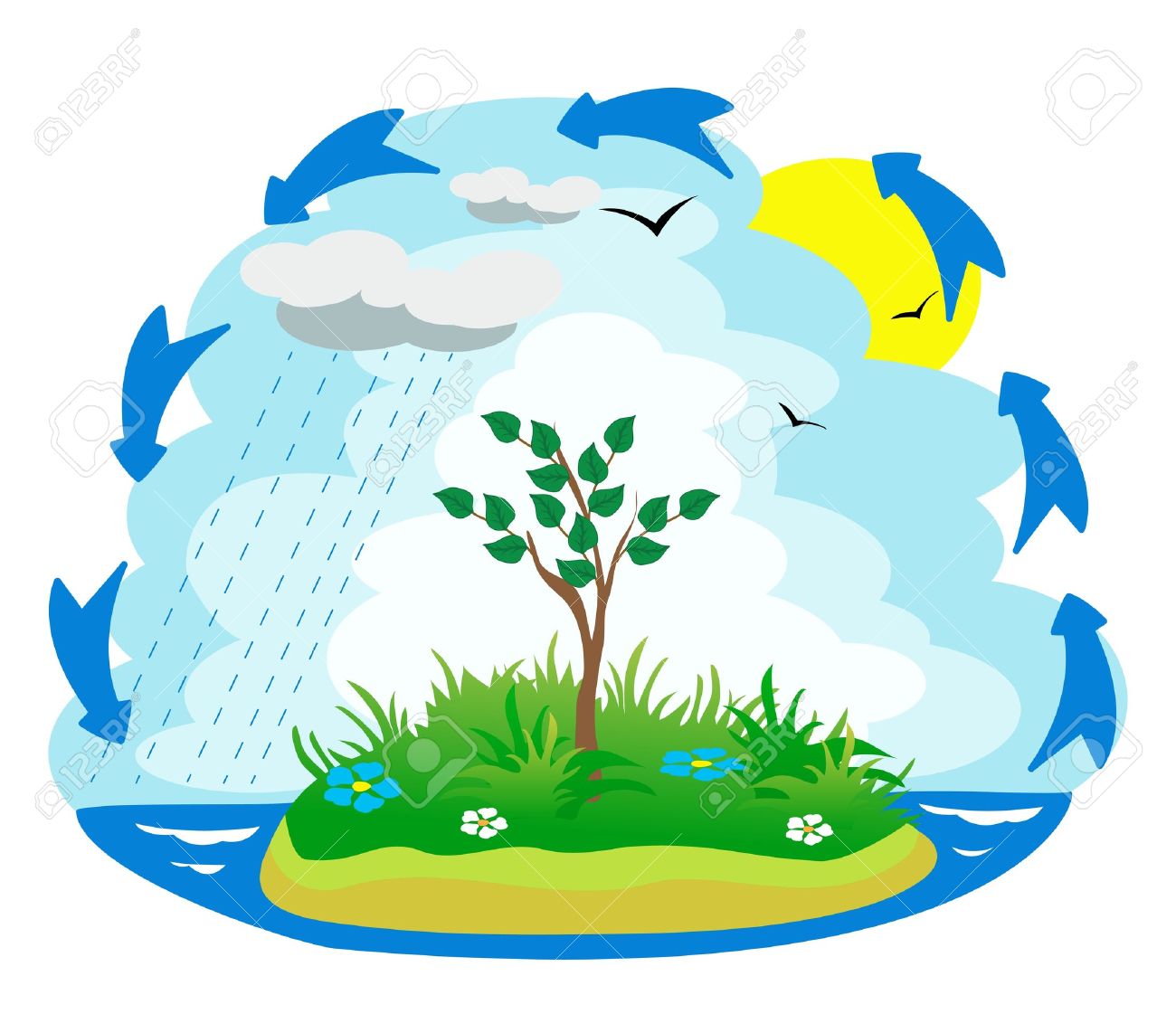 1300x1121 Water Cycle Clip Art Free 101 Clip Art