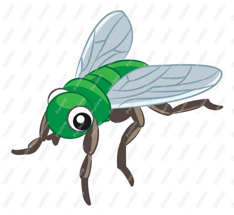 800x735 Fly Character Clip Art