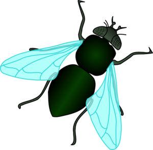 300x294 Green House Fly Clip Art