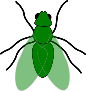282x299 Green Fly Green For Web Clip Art