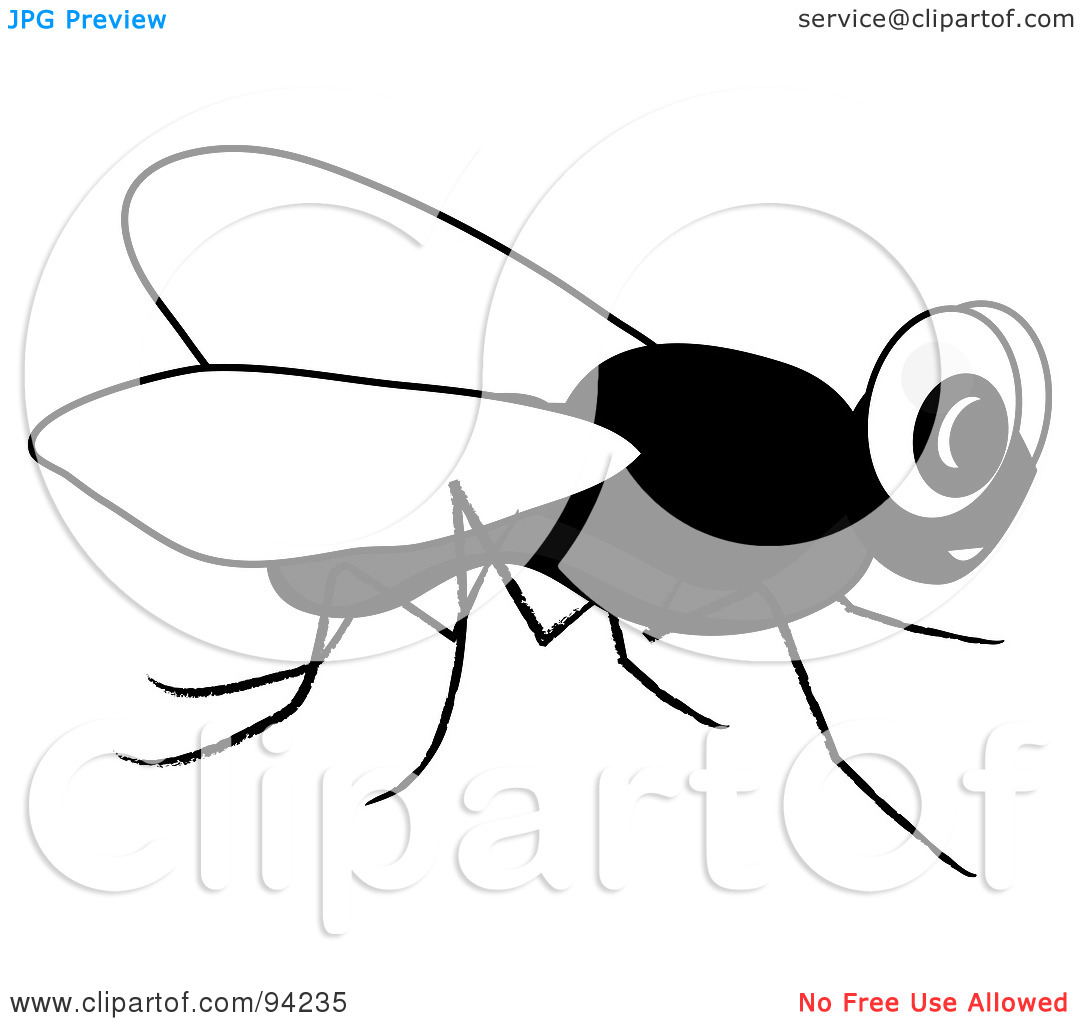 1080x1024 Fly Clip Art