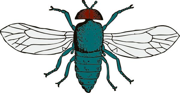 600x310 Blue Bottle Fly Clip Art Free Vector 4vector