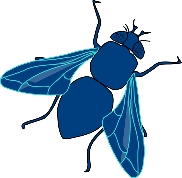600x588 Blue Fly Clip Art