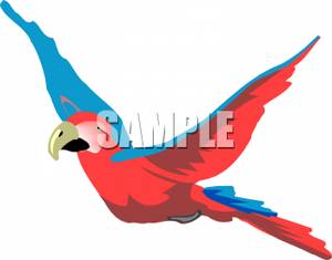 300x235 Parrot In Flight Clipart Picture