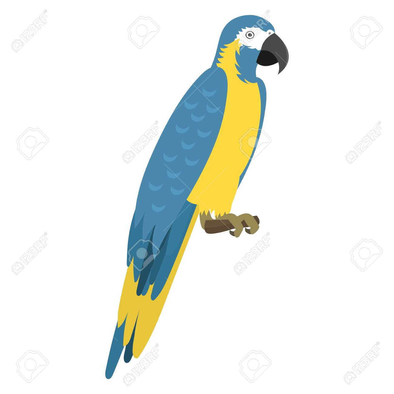 1300x1299 Cartoon Tropical Parrot Wild Animal Bird Vector Illustration