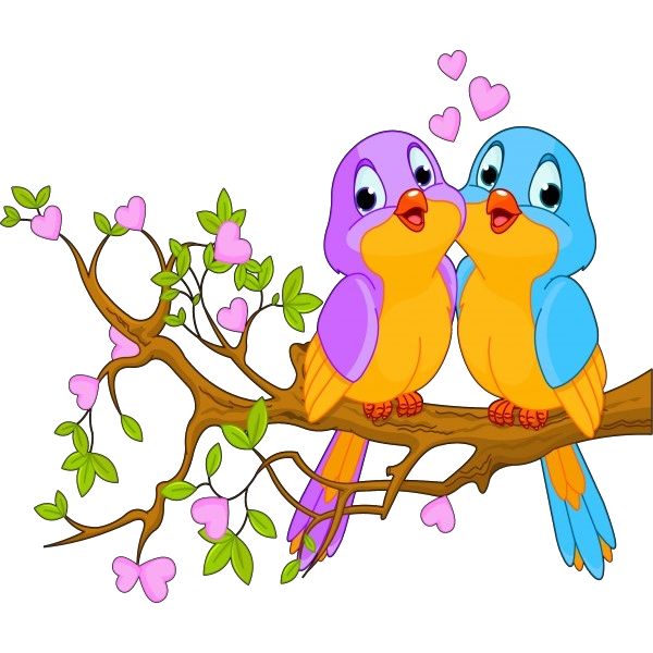 600x600 81 Best Birds Clip Art Images Bird, Pictures