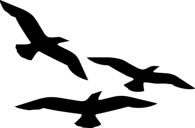 640x420 Sea Bird Clipart Flying