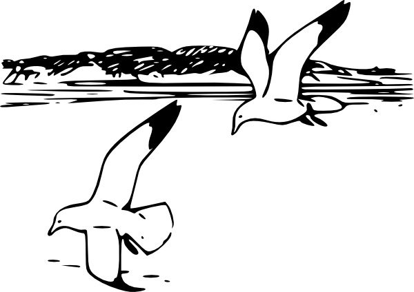 600x424 Flying Sea Gulls Clip Art Free Vector In Open Office Drawing Svg
