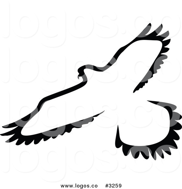 600x620 Royalty Free Vector Of A Black And White Flying Bird Logo By