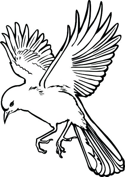 420x596 Bird Drawing Outline