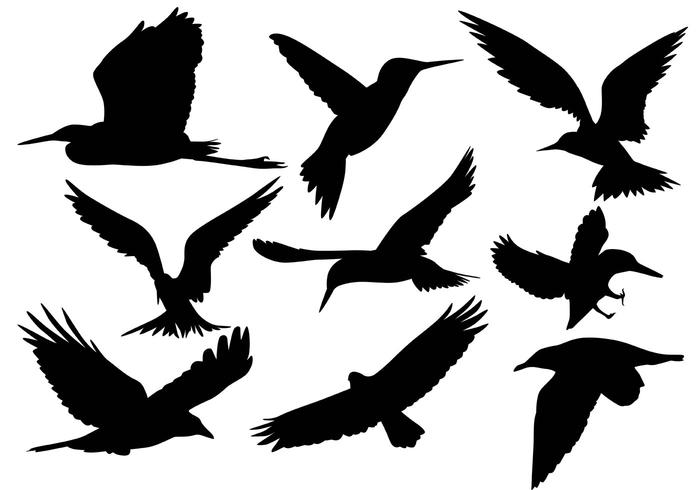 700x490 Flying Bird Silhouette Vectors