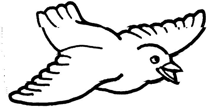 702x365 Bird Outline