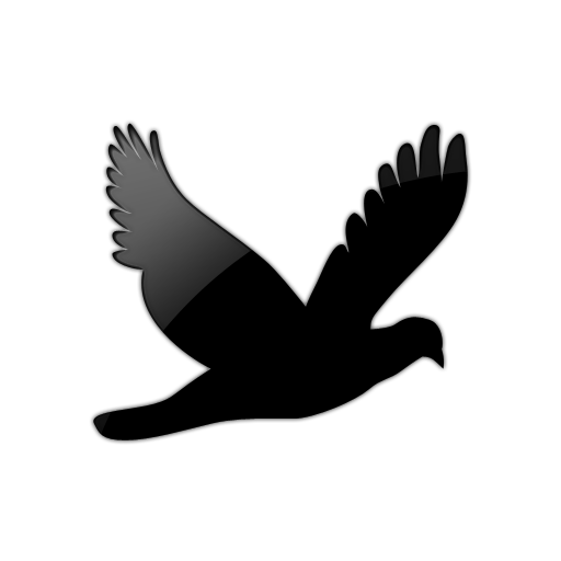 512x512 Flying Bird Transparent Clipart