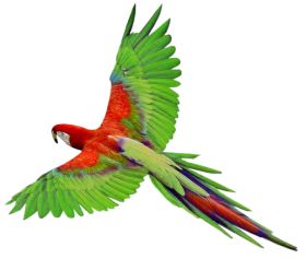 280x237 Flying Green Parrot Png Images, Free Download Clipart Birds