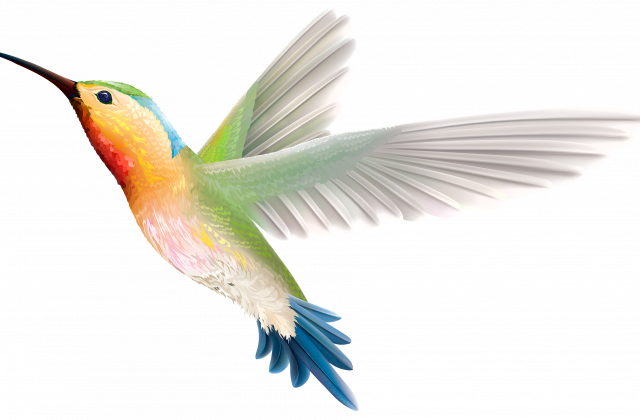 640x420 Tag For Flying Bird Png Image Flying Birds 07 Png Stock By Roys