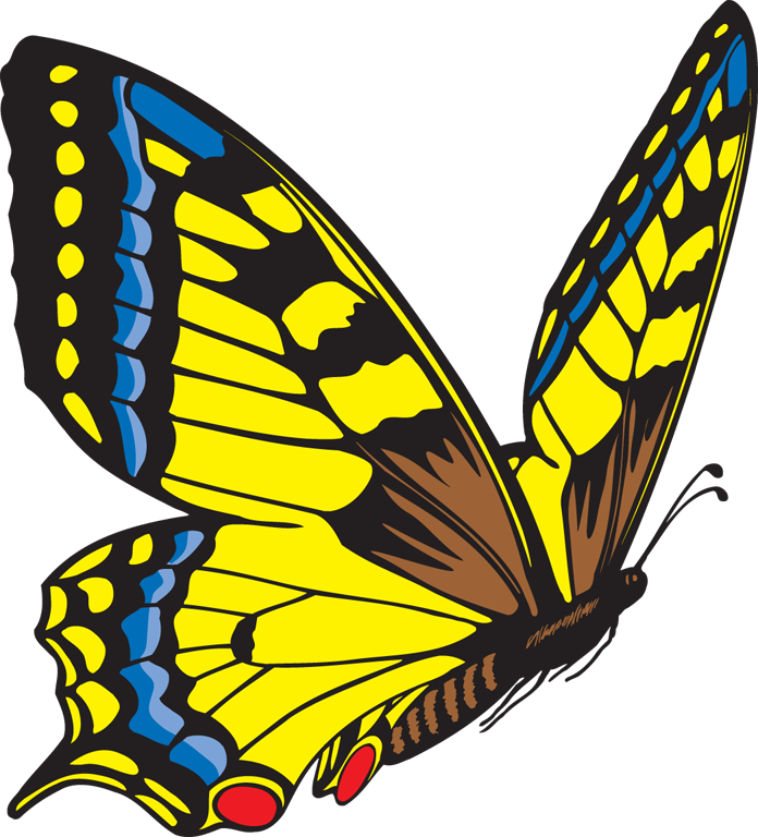 696x768 Flying Butterfly Clip Art