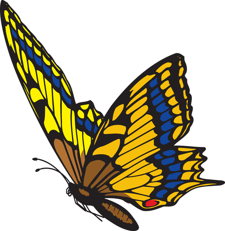 717x736 Monarch Butterfly Clipart Moving Image