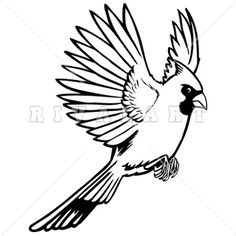 Flying Cardinal Clipart | Free download on ClipArtMag