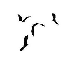 236x196 Flying Dragon Silhouette