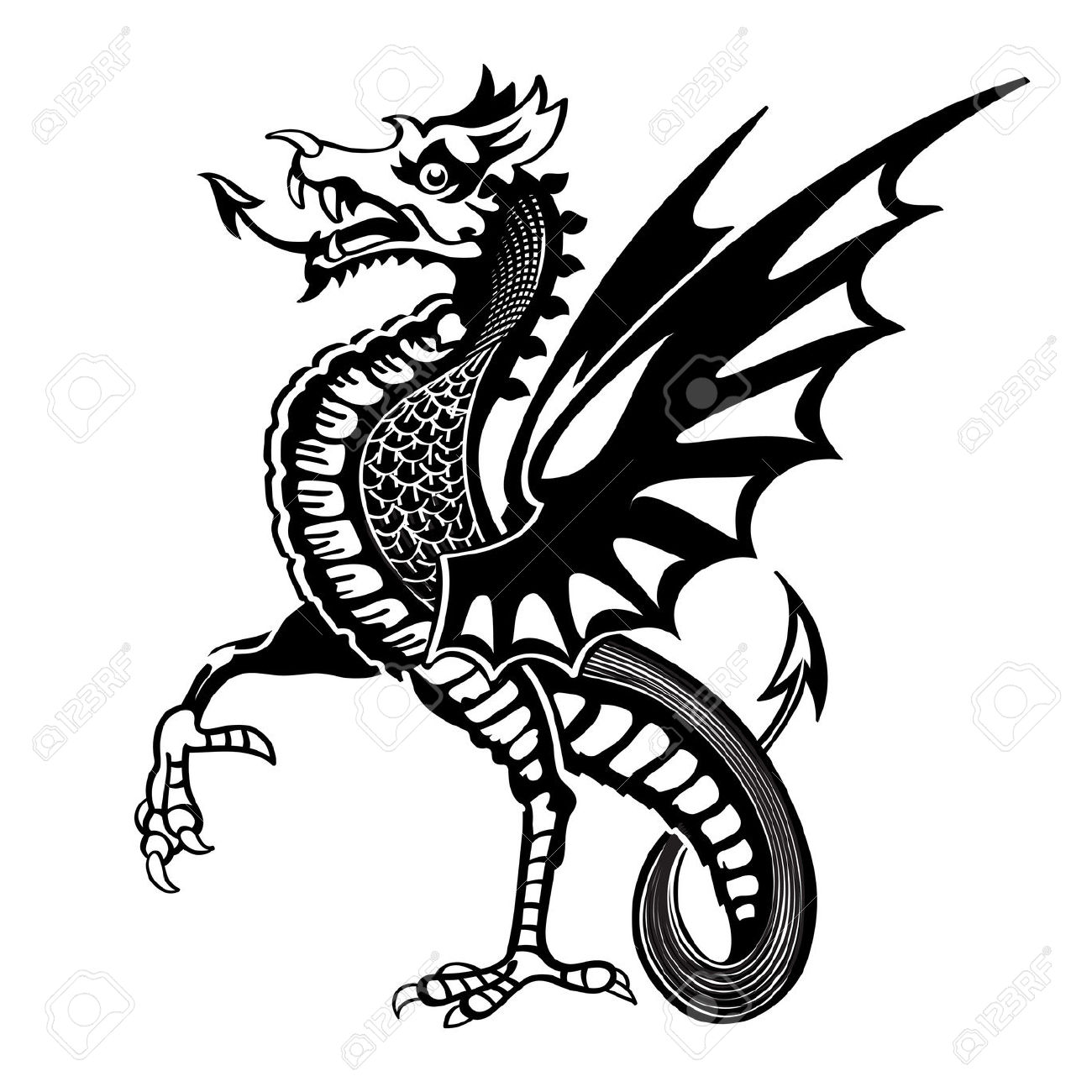 1300x1300 Drawn Dragon Medieval Dragon