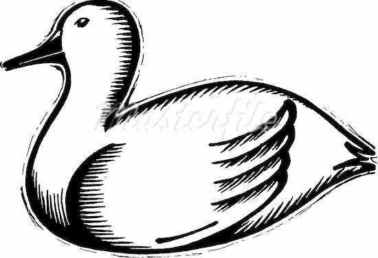 550x376 Duck Clip Art Black And White Clipart Collection