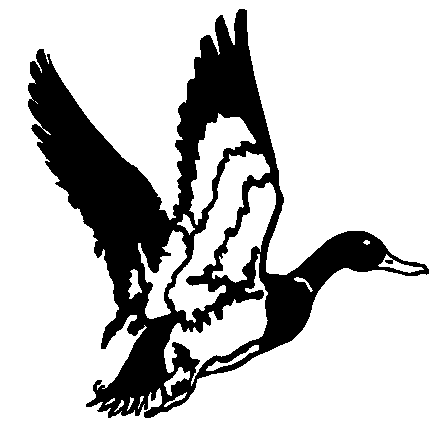 Flying Duck Clipart Black And White | Free download on ClipArtMag