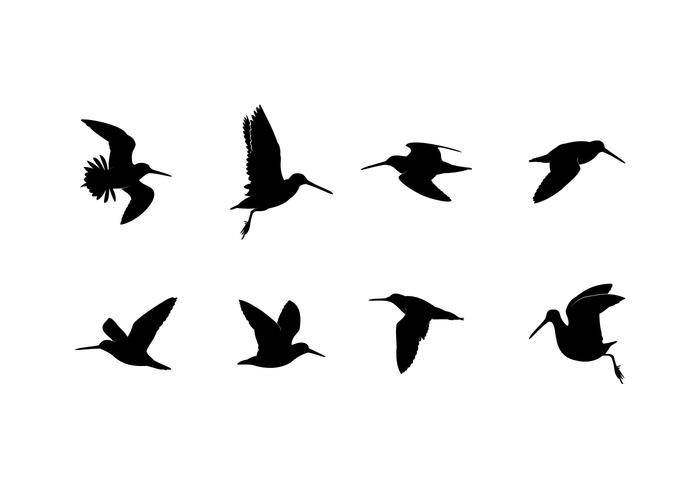 700x490 Flying Bird Silhouette Free Vector Art