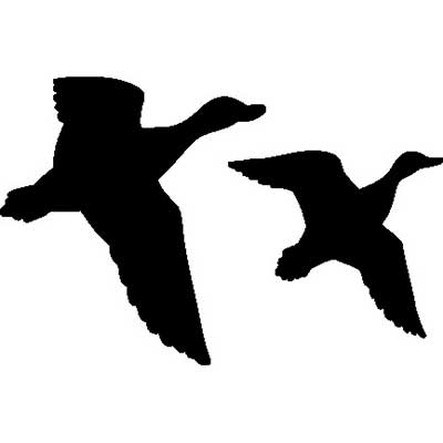 Flying Duck Silhouette | Free download on ClipArtMag