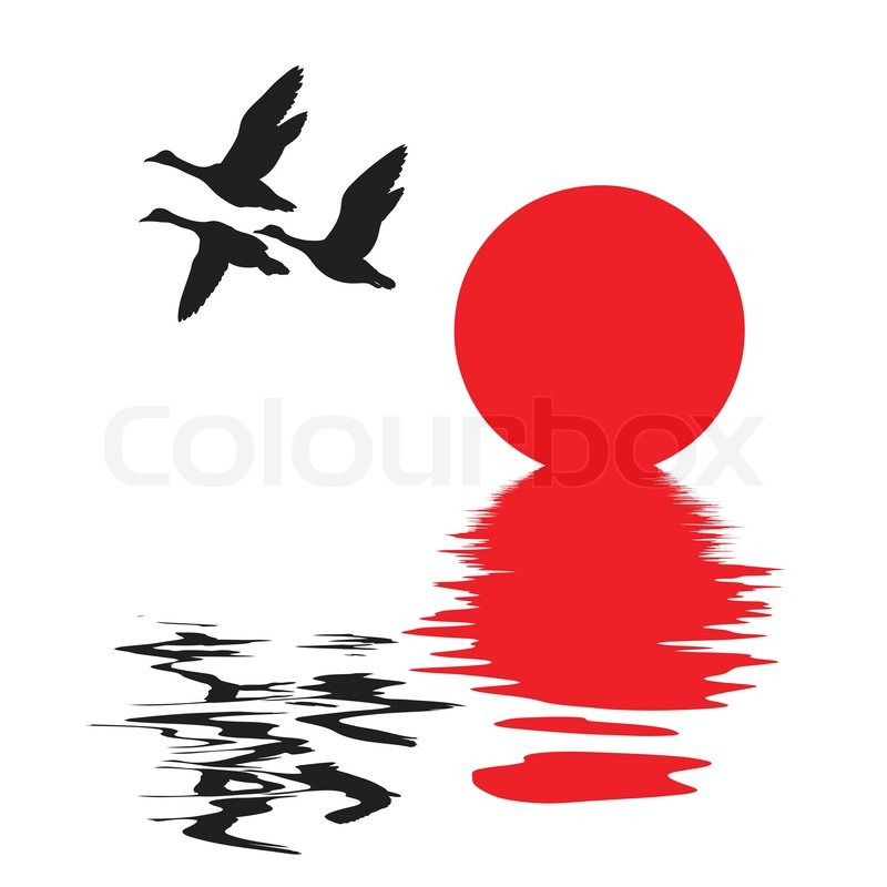 800x800 Vector Silhouette Flying Ducks On White Background Stock Vector