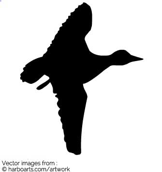 335x355 Download Flying Duck