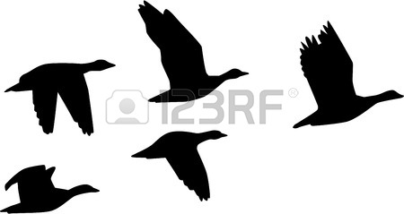 Flying Duck Silhouettes